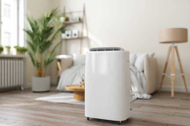Ductless HVAC Repair in Mcewen, TN